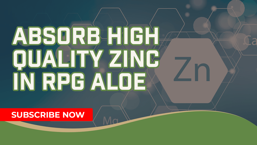 Are You Experiencing Zinc Deficiency?