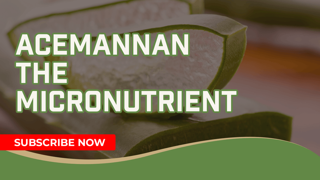 The Many Differences Between Macronutrients and Micronutrients