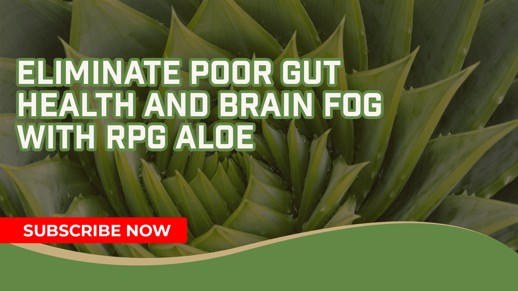 Eliminate Poor Gut Health And Brain Fog With RPG Aloe