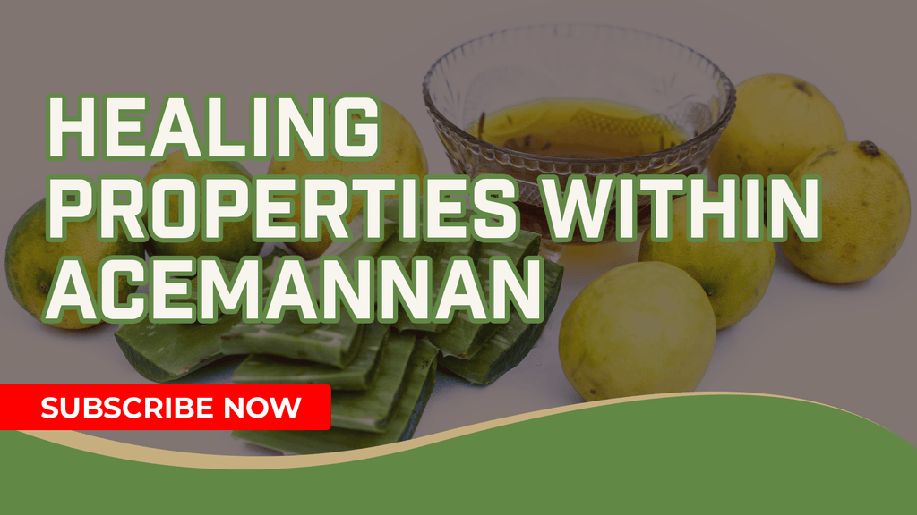 Healing Properties Within Acemannan