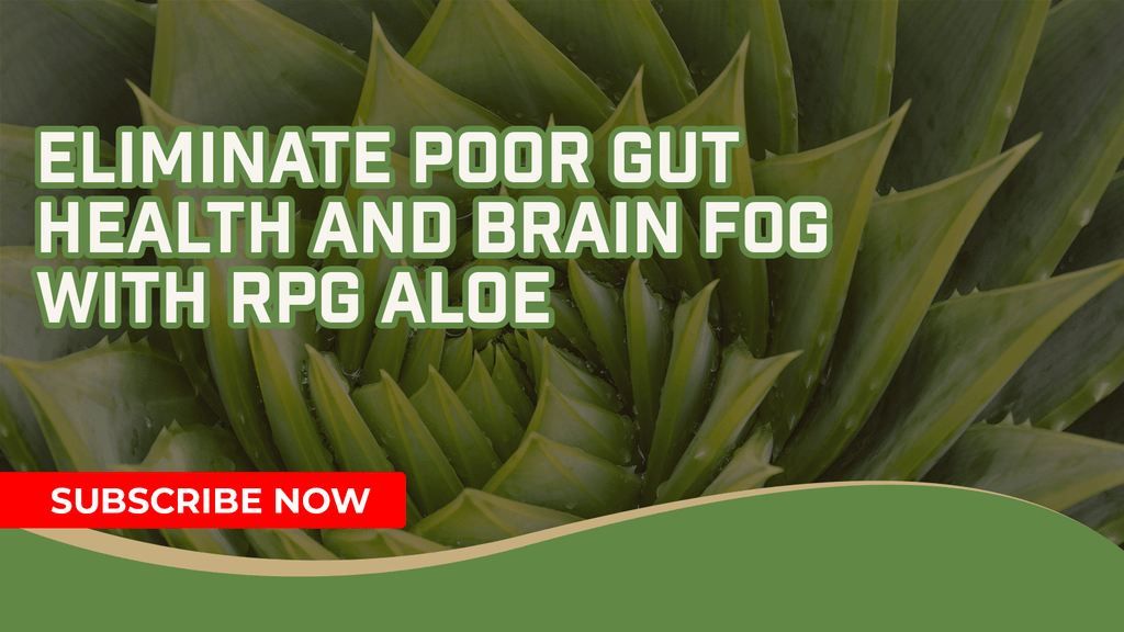 Eliminate Poor Gut Health And Brain Fog With RPG Aloe