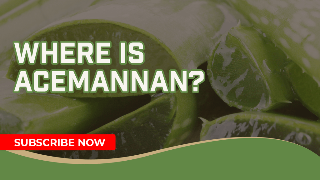 Where Is Acemannan found and what does it do?